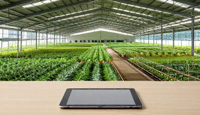 系统性能优化中选型关注点的取舍分析